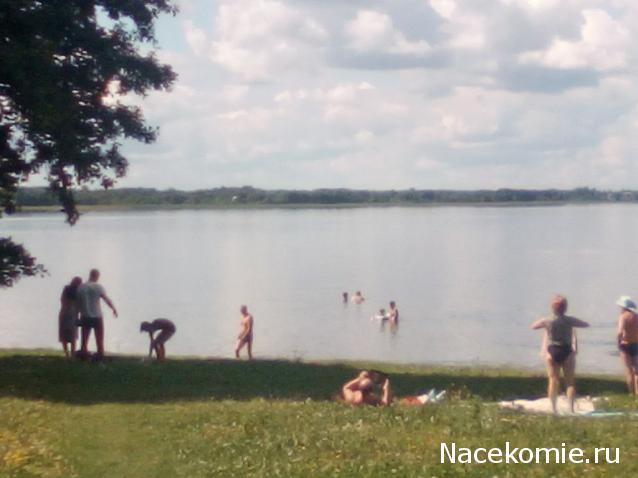 "Живой уголок"