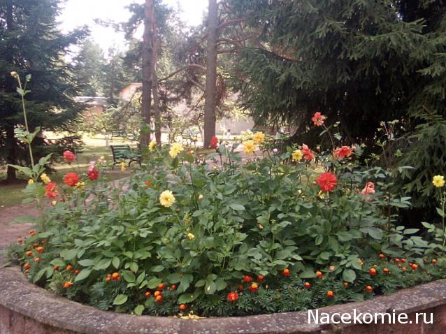 "Живой уголок"