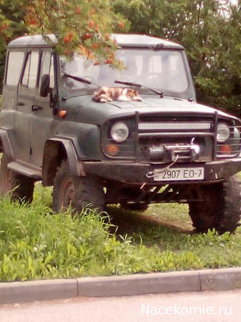 Болталка АЛ и АНС