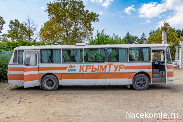 Наши автобусы №15 - ЛАЗ-699Р