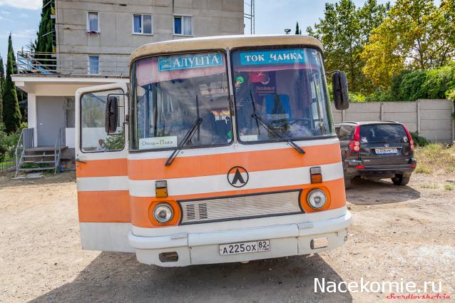 Наши автобусы №15 - ЛАЗ-699Р