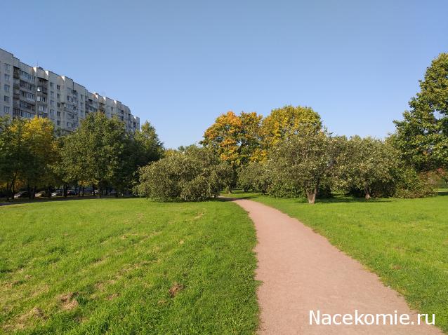 Тракторная болталка