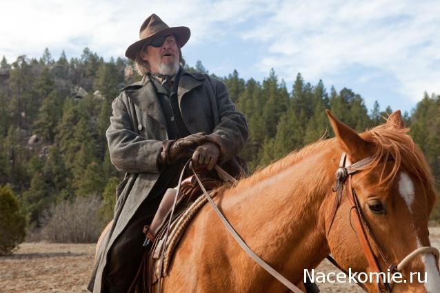 Кинозал автолюбителей