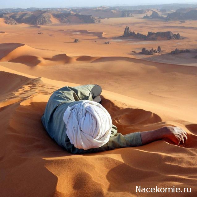 Тракторная болталка