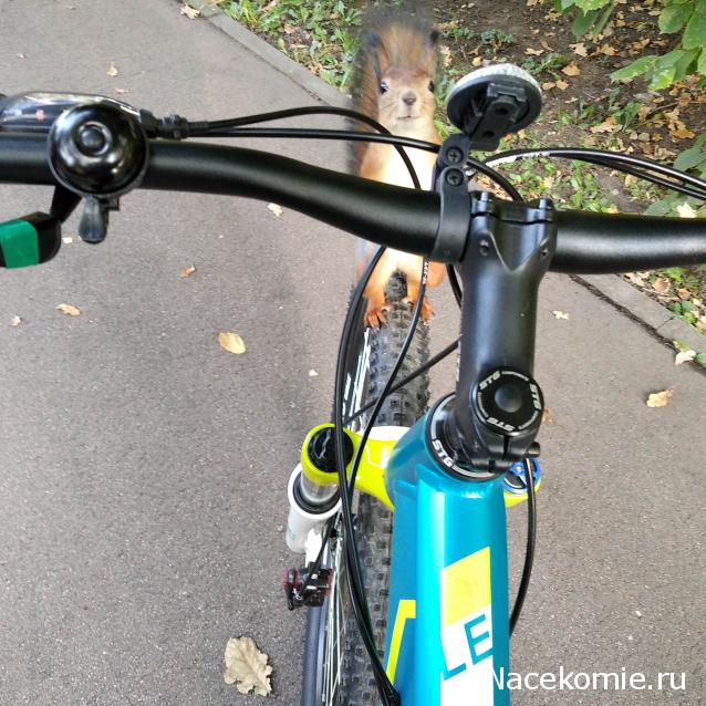 "Живой уголок"
