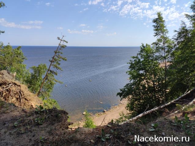 Тракторная болталка
