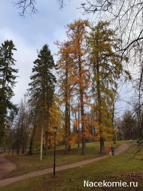 Мой любимый город или дорогие сердцу места