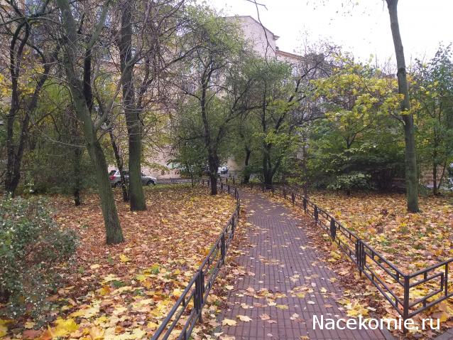 "Живой уголок"