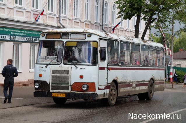 Околоавтобусная болталка