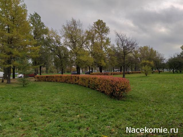 "Живой уголок"