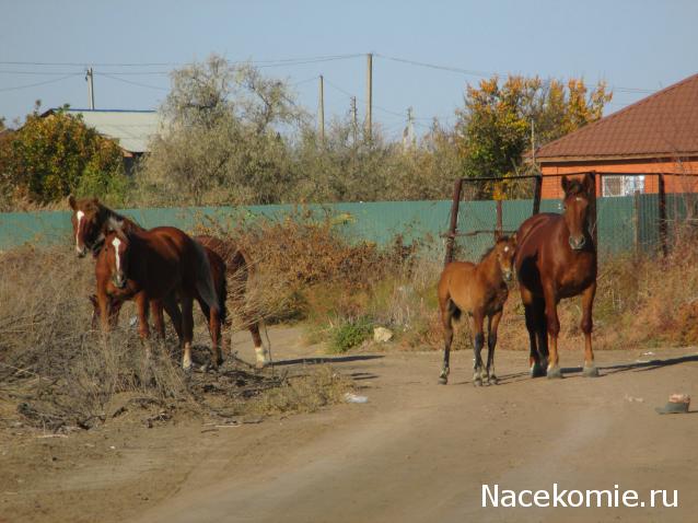 "Живой уголок"