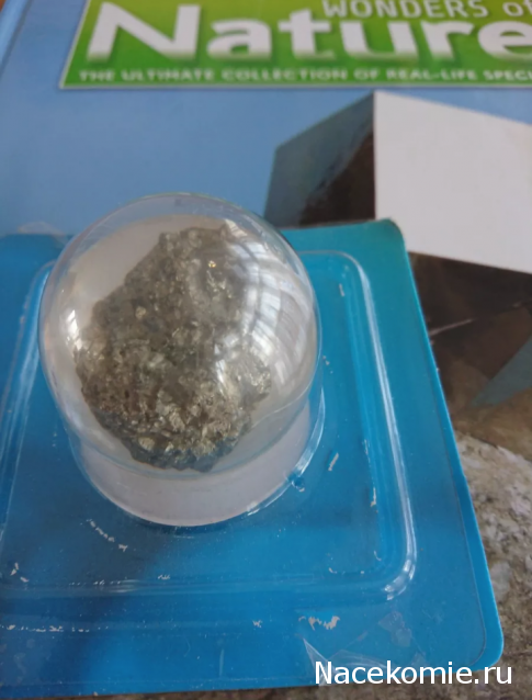 Чудеса Природы - График Выхода и обсуждение