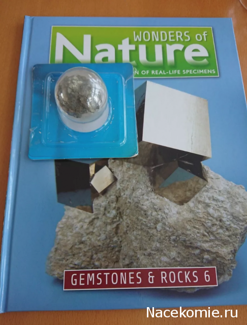 Чудеса Природы - График Выхода и обсуждение