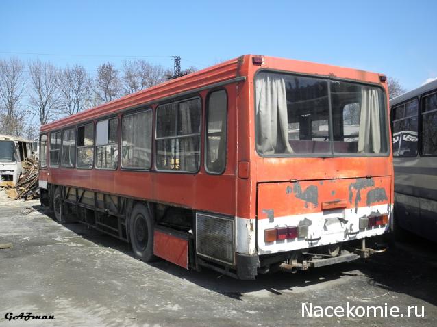 Наши Автобусы №16 - ЛиАЗ-5256