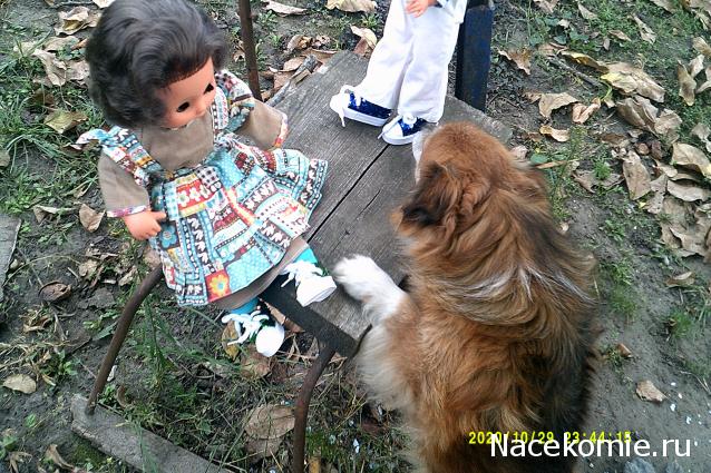 Eva1949 - Дом мечты-души моей воспоминания; 1Abrikoska - Мой гостеприимный дом