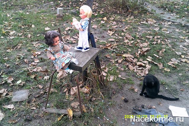 Eva1949 - Дом мечты-души моей воспоминания; 1Abrikoska - Мой гостеприимный дом