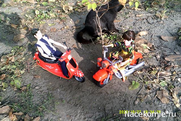 Eva1949 - Дом мечты-души моей воспоминания; 1Abrikoska - Мой гостеприимный дом