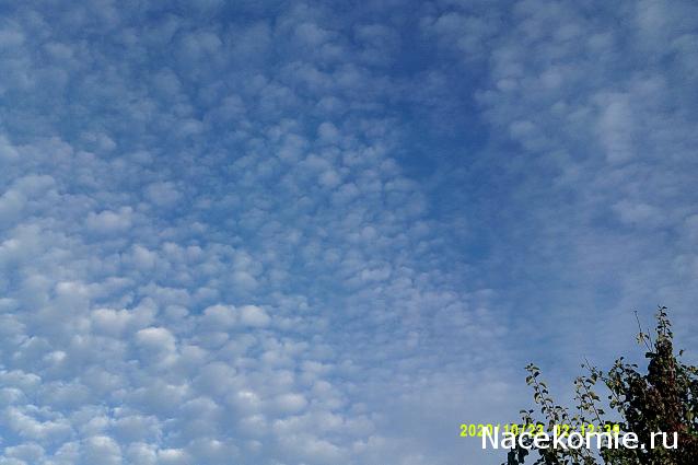 Eva1949 - Дом мечты-души моей воспоминания; 1Abrikoska - Мой гостеприимный дом