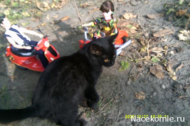 Eva1949 - Дом мечты-души моей воспоминания; 1Abrikoska - Мой гостеприимный дом