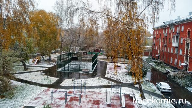 "Живой уголок"