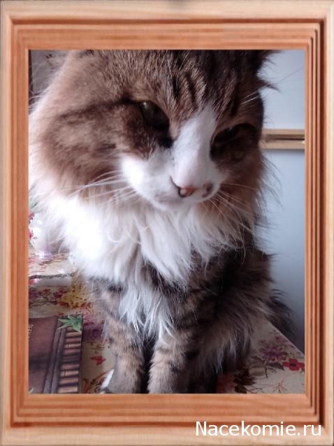 Eva1949 - Дом мечты-души моей воспоминания; 1Abrikoska - Мой гостеприимный дом