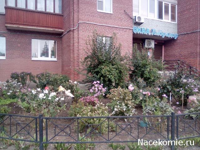 "Живой уголок"