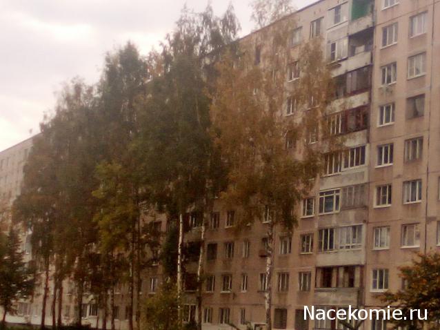 "Живой уголок"