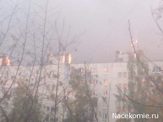 "Живой уголок"
