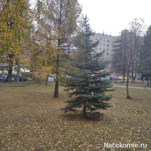 "Живой уголок"