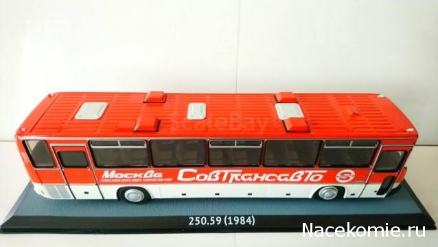 Наши Автобусы №18 - Икарус-250.59
