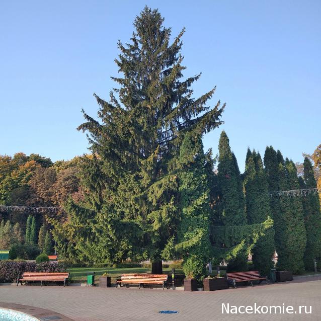 Eva1949 - Дом мечты-души моей воспоминания; 1Abrikoska - Мой гостеприимный дом