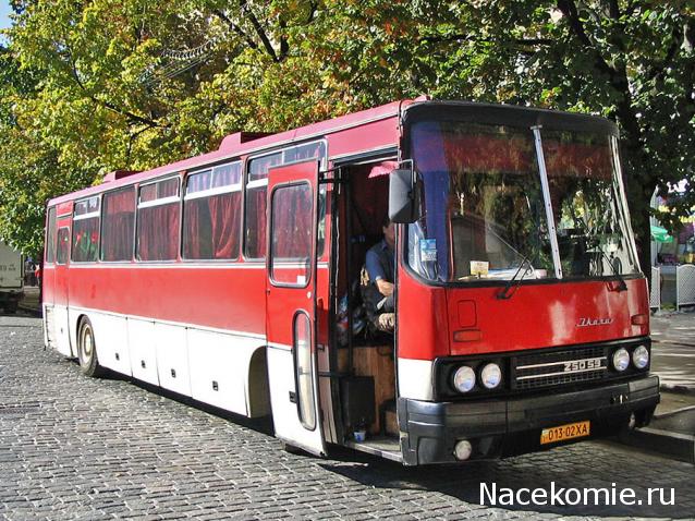 Наши Автобусы №18 - Икарус-250.59