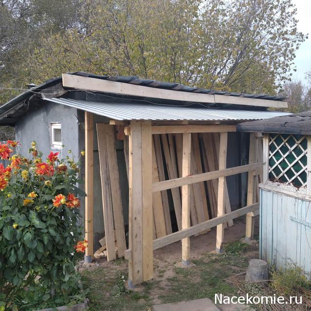 "Живой уголок"