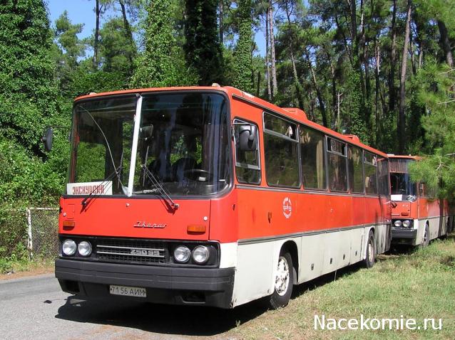 Наши Автобусы №18 - Икарус-250.59
