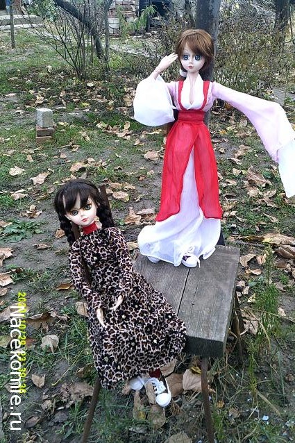 Eva1949 - Дом мечты-души моей воспоминания; 1Abrikoska - Мой гостеприимный дом