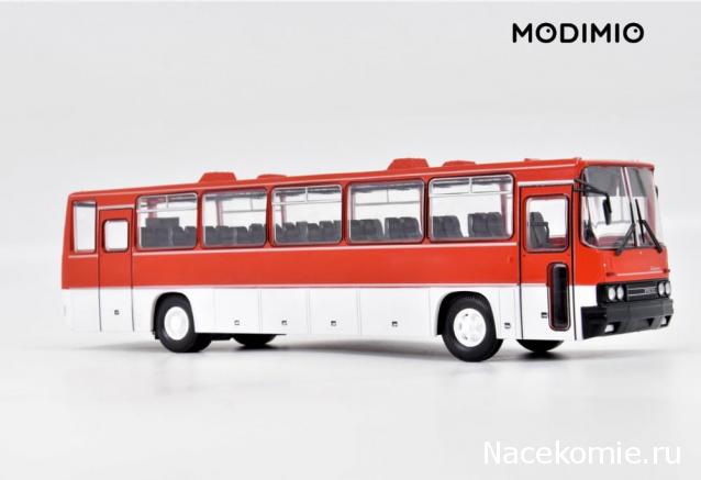 Наши Автобусы №18 - Икарус-250.59