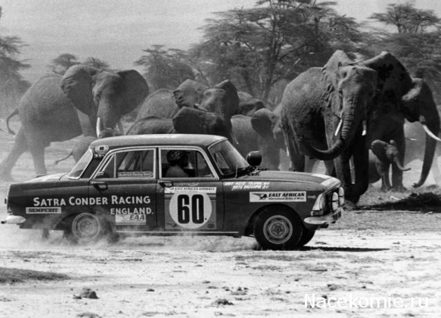 Болталка АЛ и АНС