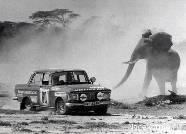 Болталка АЛ и АНС