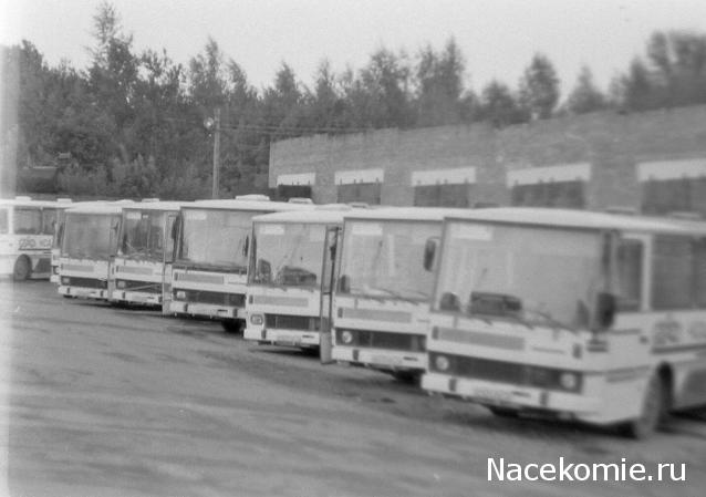 Болталка АЛ и АНС