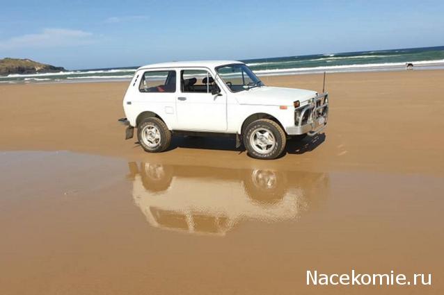 Болталка АЛ и АНС