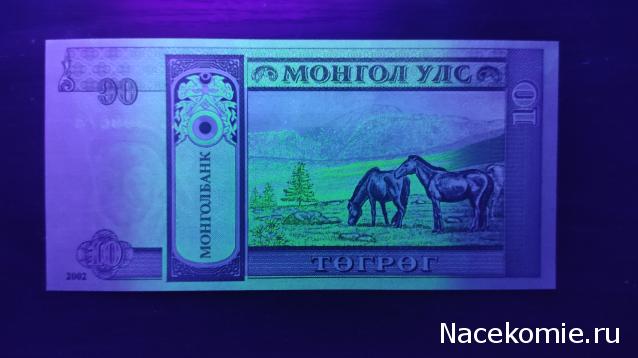 Моя коллекция монет и банкнот