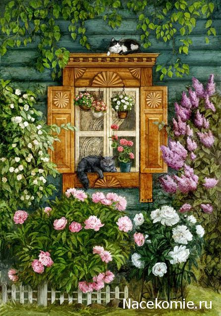 Наши Дни Рождения