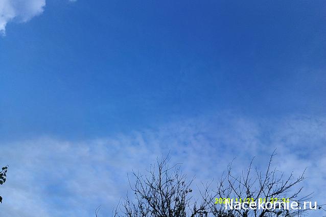 Eva1949 - Дом мечты-души моей воспоминания; 1Abrikoska - Мой гостеприимный дом