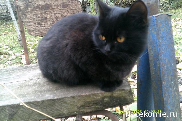 Eva1949 - Дом мечты-души моей воспоминания; 1Abrikoska - Мой гостеприимный дом