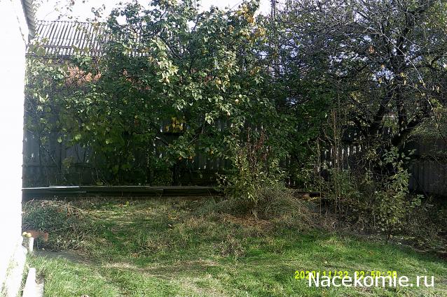 Eva1949 - Дом мечты-души моей воспоминания; 1Abrikoska - Мой гостеприимный дом