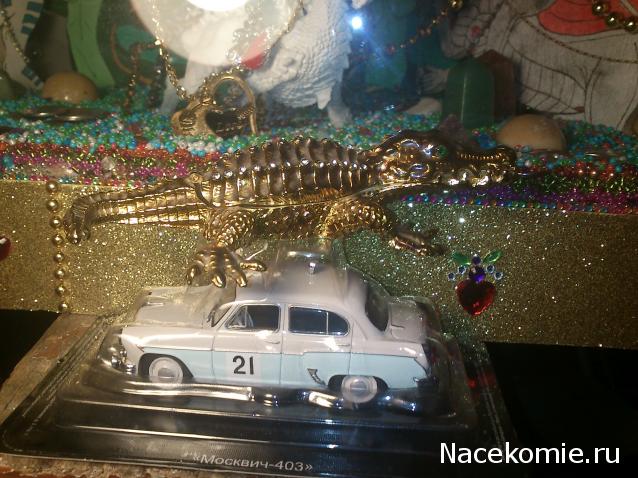 MisterDrakon - Дом "Золотой Дракон" для Драконьих Самок: Бейзил, Лада, Сапфира, Джессика, Сису.