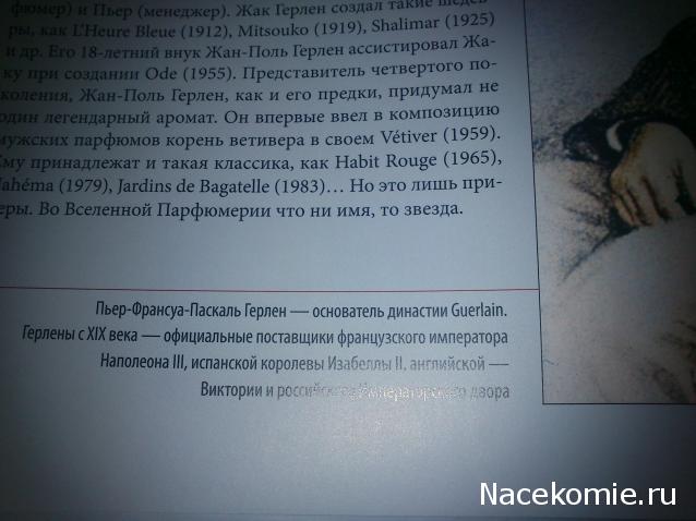 История Моды - График Выхода и обсуждение