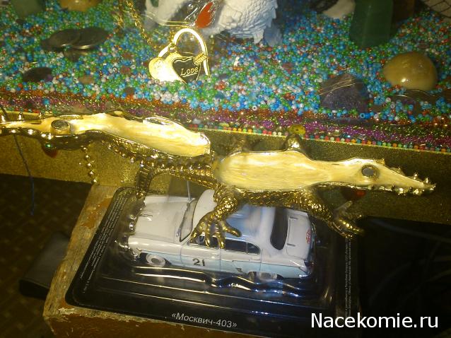 MisterDrakon - Дом "Золотой Дракон" для Драконьих Самок: Бейзил, Лада, Сапфира, Джессика, Сису.