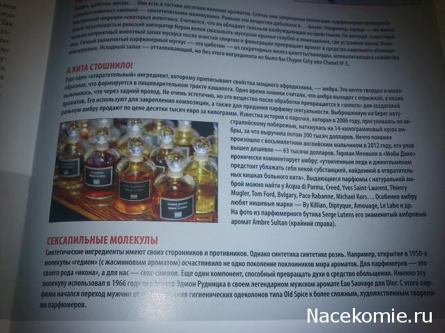 История Моды - График Выхода и обсуждение