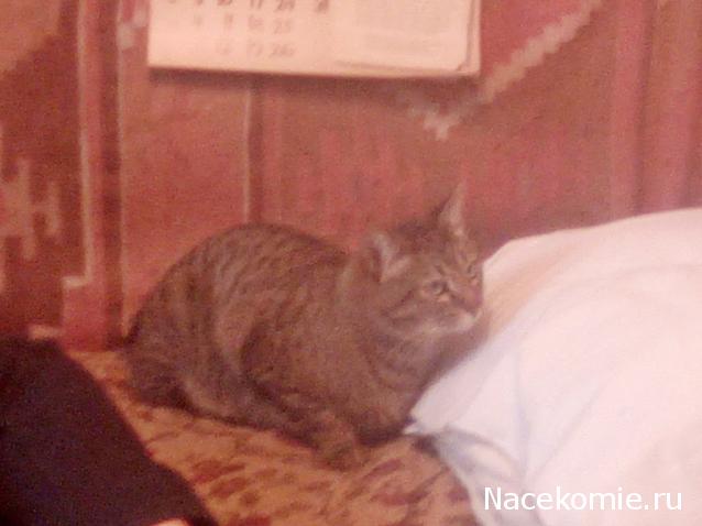 "Живой уголок"